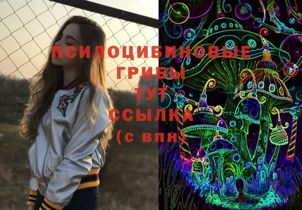 твердый Мегион