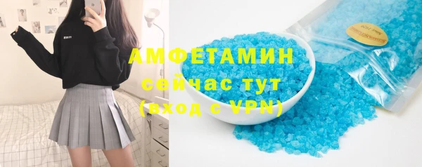 spice Богородицк