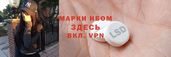 spice Богородицк