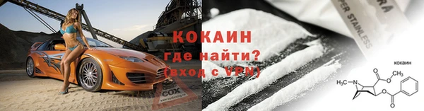 spice Богородицк