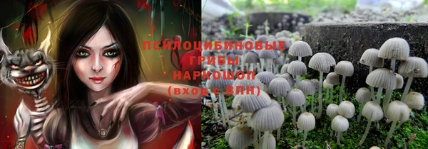 хмурый Белоозёрский