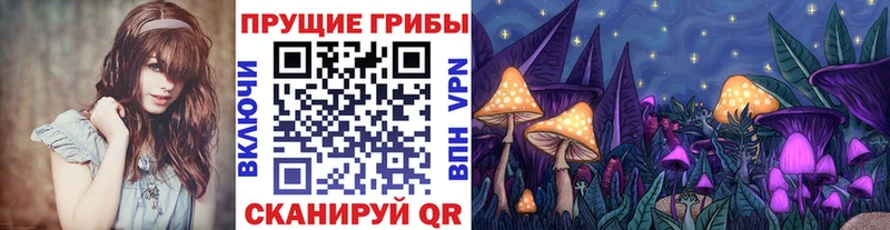 Псилоцибиновые грибы Psilocybe  МЕГА сайт  Бологое 