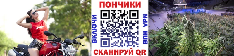 МАРИХУАНА OG Kush  Бологое 